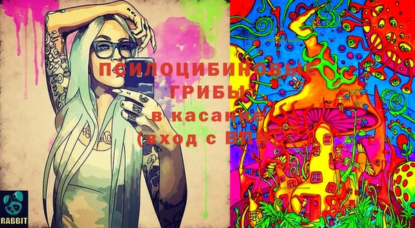 ECSTASY Коряжма