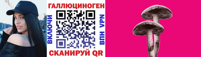купить наркотики сайты  Красный Сулин  Псилоцибиновые грибы GOLDEN TEACHER 