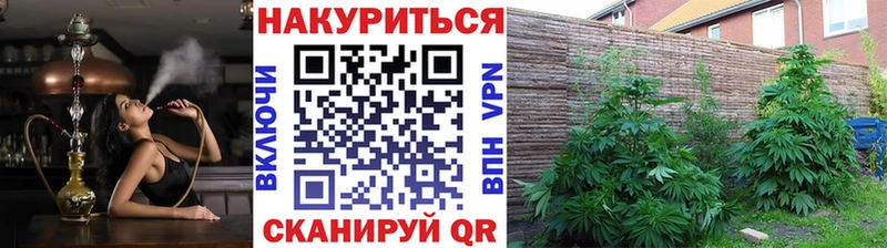 Марихуана конопля Красный Сулин